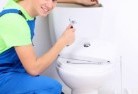 Talegalla Weirtoilet-replacement-plumbers-2.jpg; ?>